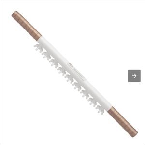 Ashley Black MasterBlaster